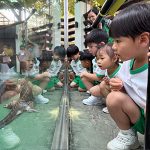 幼兒班參觀爬蟲館